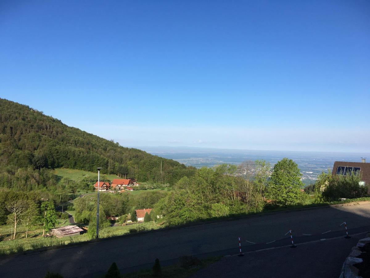 Apartment Ferienwohnung Brandmatt - Weitblick - 54Qm Sasbachwalden Eksteriør billede